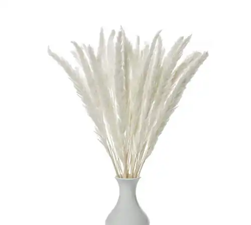 Decor Dance Natural Dried Pampas Grass, 30 Pcs |17 inch | Boho Floral Decorative Flower Arrangement Home Decor for Living Room Kitchen or Office, Long, Soft and Fluffy Stalks, Rustic White