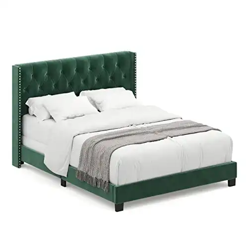 DG Casa Bardy Upholstered Panel Queen Bed Frame in Luxurious Green Faux Velvet Fabric, with Diamond Button Tufted Wingback Headboard, Nailhead Trim, and Tall Headboard - Sturdy and Modern Design