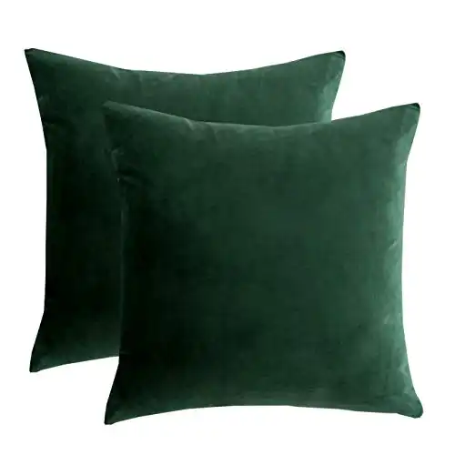 RainRoad Velvet Decorative Throw Pillow Covers Cushion Cover Pillow Case for Sofa Couch Bed Chair,Soft Square Dark Green Throw Pillows 18x18 Inch,Set of 2