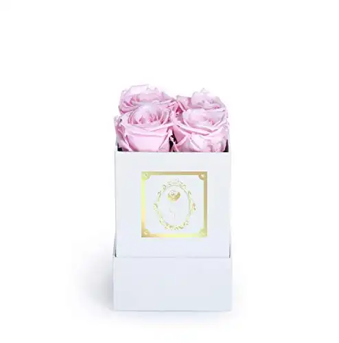 Fleur Magique Real Preserved Roses Flower Arrangement - Real Forever Roses That Last a Year - Handmade Preserved Flowers Roses Gift for Delivery (Small Square Box)
