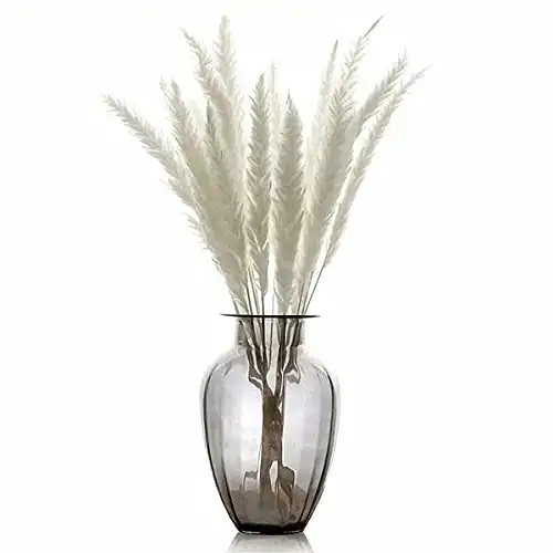 White Faux Artificial Fluffy Pampas Grass Stems for Boho Home Decor and Vase Display,15 Pcs, 19 inches