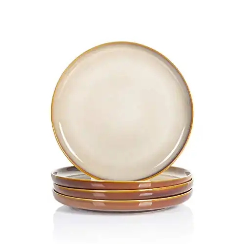 Hasense Porcelain Dinner Plates Set, 10 Inches Serving Plates Set of 4 for Steak and Pasta, Brown