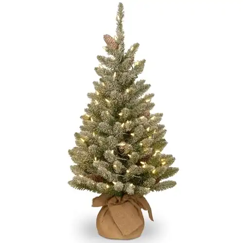 National Tree Company Pre-lit Artificial Mini Christmas Tree | Includes Small White LED Lights and Cloth Bag Base | Snowy Concolor Fir Burlap - 3 ft, Brown/Green