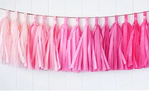 Zorpia® 15pcs Tissue Paper Tassels Garland, Mixed 3 Colors(Pink+ light pink+ rose)