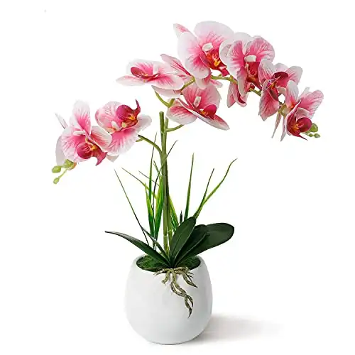 LIVILAN Fake Orchid Light Pink Orchid Silk Phalaenopsis Real Touch Flowers Artificial Flowers Arrangement Potted Orchid with White Ceramic Vase with Two Stems Orchid Plant for Home Decor Party