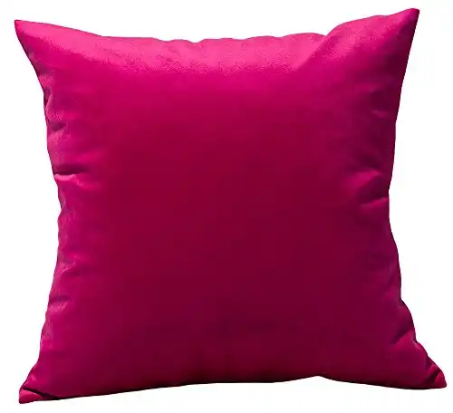 TangDepot Solid Velvet Throw Pillow Cover/Euro Sham/Cushion Sham, Super Luxury Soft Pillow Cases, Many Color & Size Options - (20"x20", Raspberry)