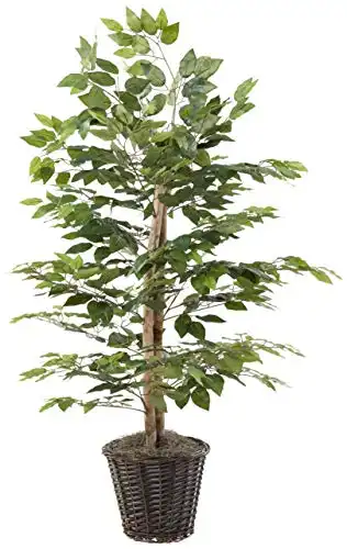Vickerman 4' Artificial Ficus Bush, Rattan Basket.