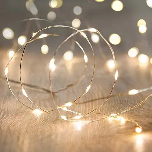 ANJAYLIA LED Fairy String Lights, 10Ft/3M 30leds Firefly String Lights Garden Home Party Wedding Festival Decorations Crafting Battery Operated Lights, Warm White