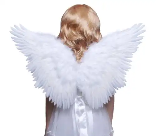 FashionWings (TM Children's White Butterfly Style Costume Feather Angel Wings Halo