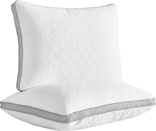LARIESS Cozy Series Quality Pillows for Sleeping [Set of Two] Premium Plush Fiber, Bed Pillows for Side and Back Sleeper (Queen)