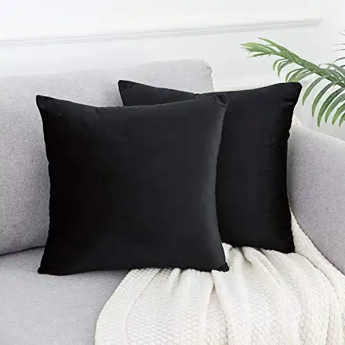 WLNUI Set of 2 Soft Velvet Black Pillow Covers 18x18 Inch Square Decorative Throw Pillow Covers Cushion Case for Sofa Couch Home Farmhouse Decor