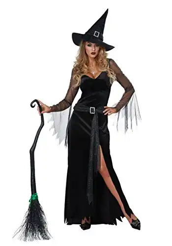 California Costumes Womens Rich Witch Costume X-Large