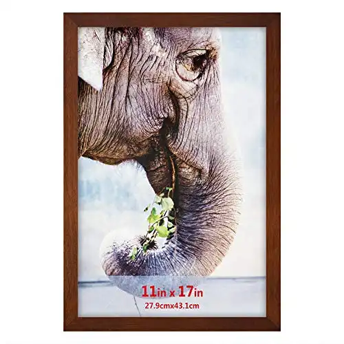 RPJC 11x17 inch Solid Wood Poster Frames for Wall Mounting Hanging Picture Frame Brown