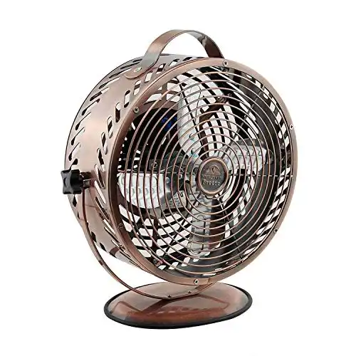 Himalayan Breeze Zebra Fan, Portable Fan, Unique Decorative Lightweight Table Fan