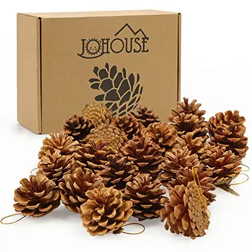 JOHOUSE 24PCS PineCones, Natural PineCones Package, PineCones Ornaments for Christmas Autumn and Winter Crafts Decorating, 1.9-2.5inches