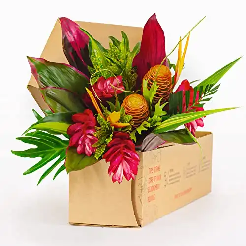 Beautiful Bouquets Subscription: Tropicals