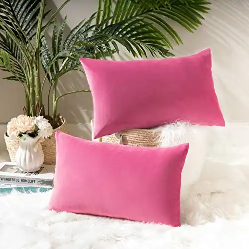 Ashler Pack of 2 Soft Velvet Decorative Throw Pillow Cushion Cover Sets Rose Pink 12 X 20 Inches 30 X 50 cm