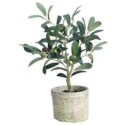 Green Plastic Potted Olive Tree - 12"H
