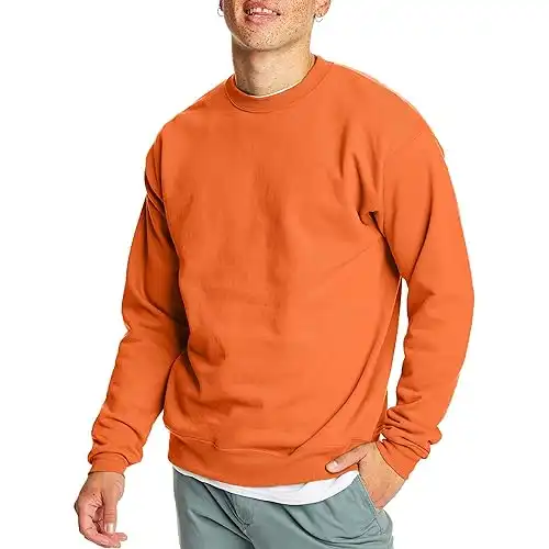 Hanes EcoSmart Fleece, Cotton-Blend Pullover, Crewneck Sweatshirt for Men, 1 Or 2 Pack