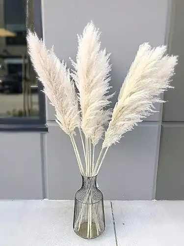 LEAFLAX Natural Dried White Pampas Grass Decor Tall 44" with 3 Spikes Large Fluffy Flowers for Room Decoration, Wedding Decor, Artificial Plants