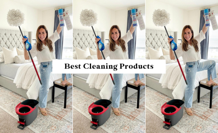 The 9 BEST Cleaning Products You Need In Your Home - By Sophia Lee