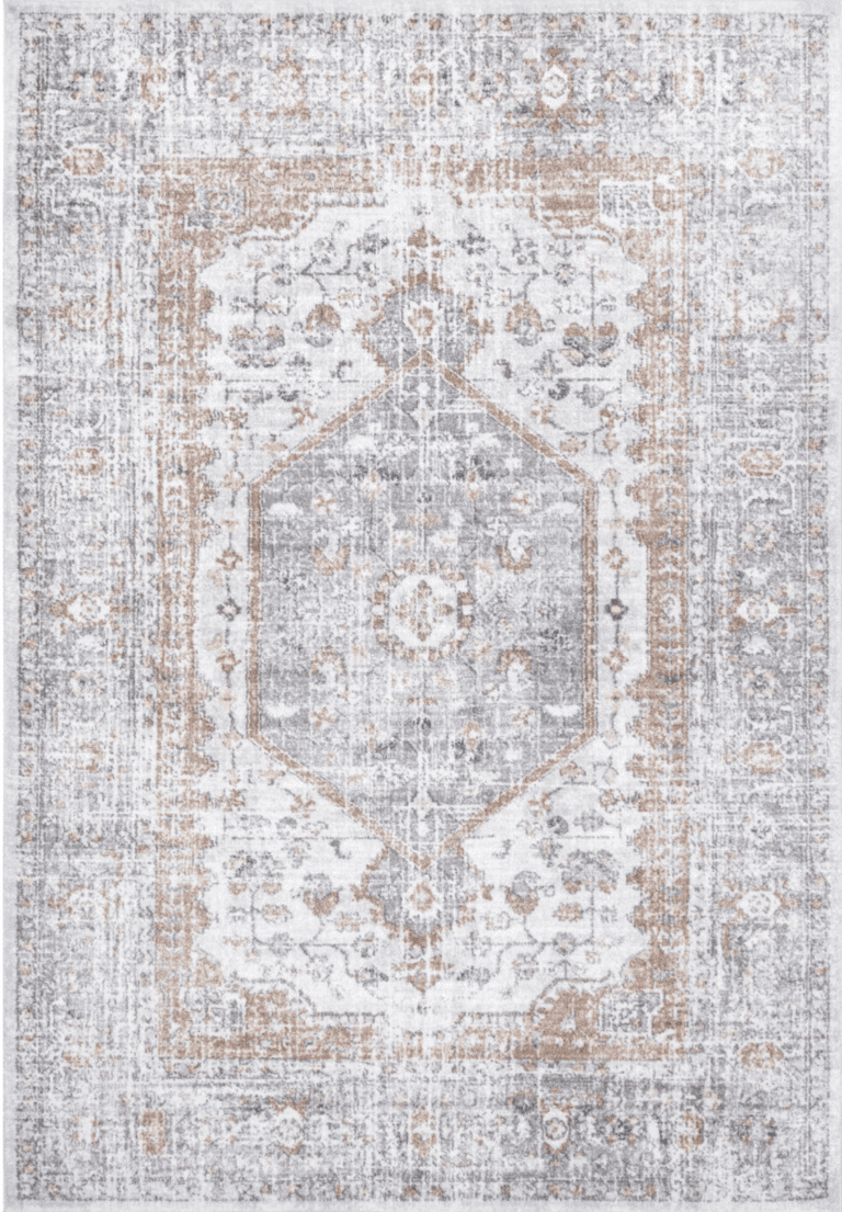 8 Best Places To Buy Rugs For ANY Budget By Sophia Lee