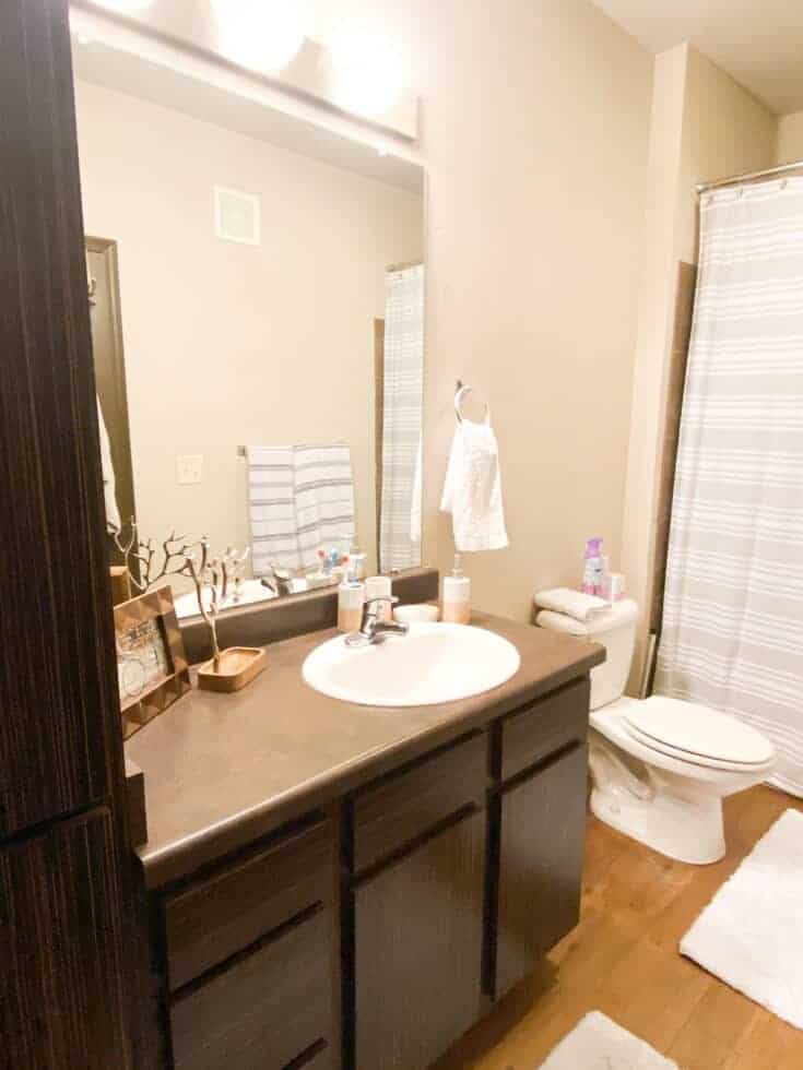21 College Apartment Bathroom Ideas That Prove You Can Make Bathrooms ...