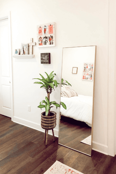 The Ultimate Guide To Your First College Apartment | Decor, Tips, And Essentials