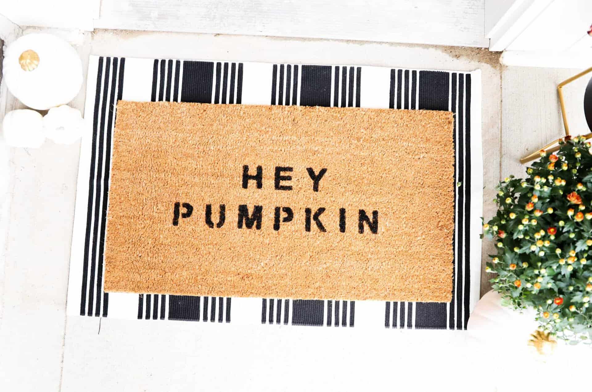 10+ Fall Door Mats We Are Loving For This Year (+ how to DIY a fall