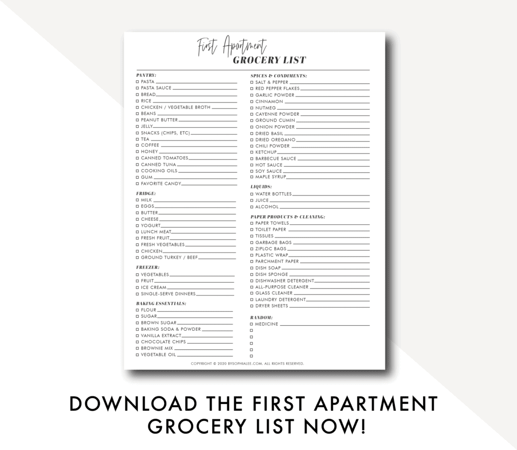 FIRST APARTMENT GROCERY LIST - By Sophia Lee