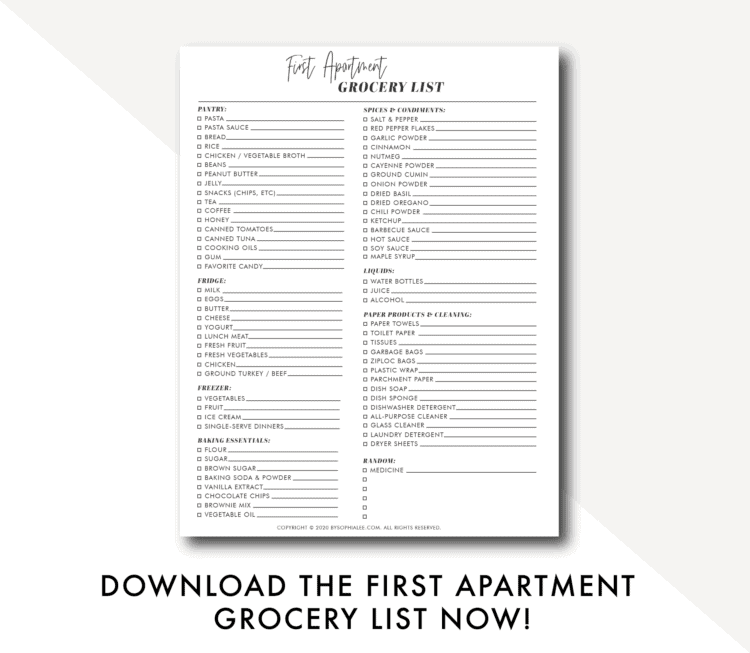 FIRST APARTMENT GROCERY LIST By Sophia Lee