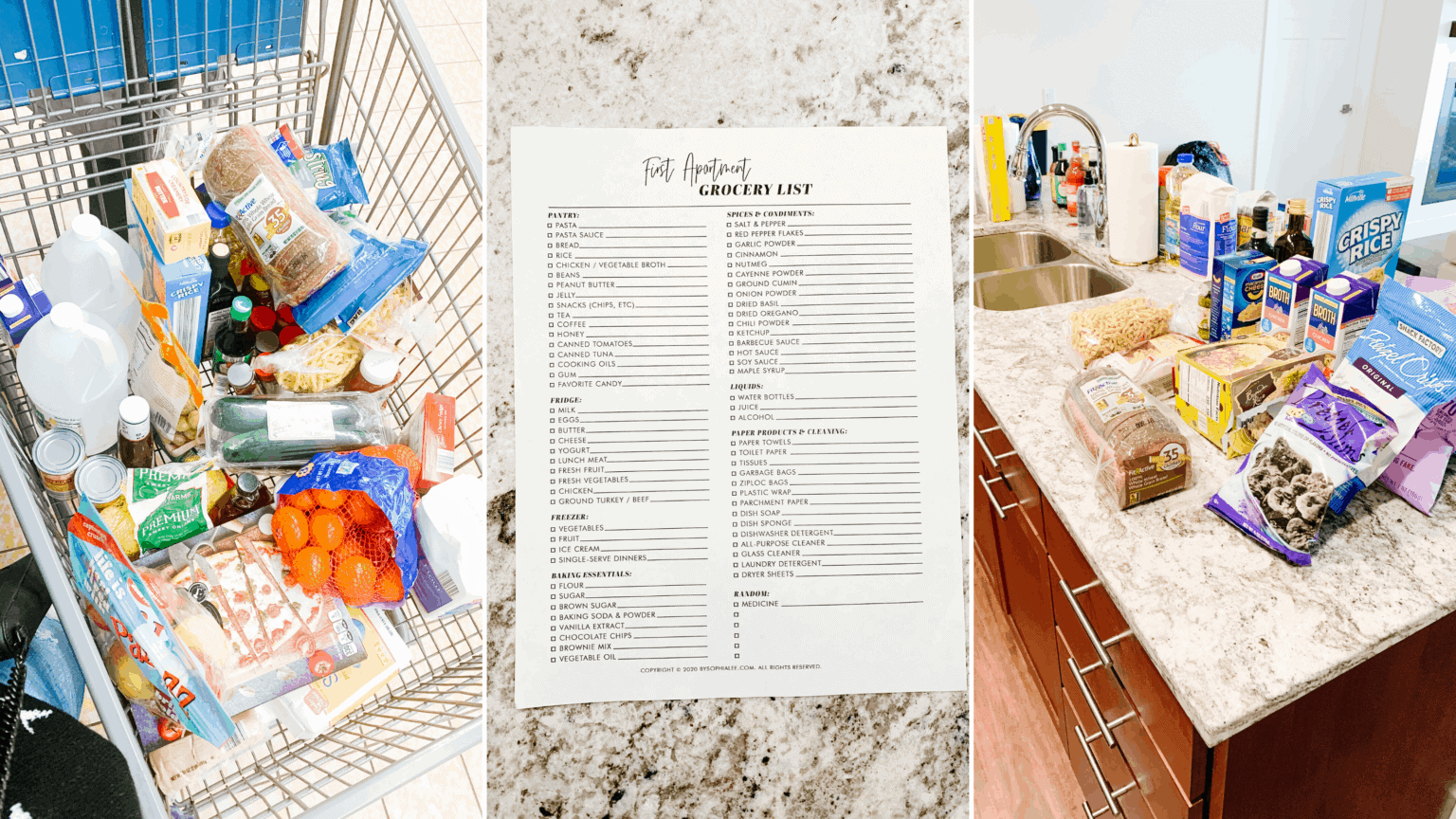 First Apartment Grocery List The Ultimate List of Kitchen Essentials You Need For Your First