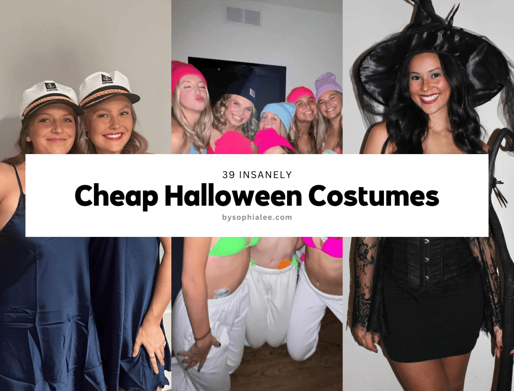 39 Insanely Cheap Halloween Costumes for 2024 - By Sophia Lee